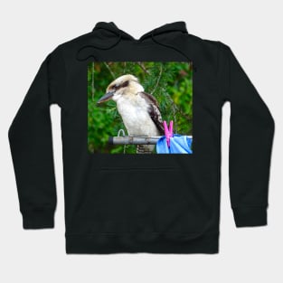 Kookaburra on the Clothesline! Hoodie